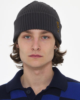 Stylish trawler beanie with a folded cuff